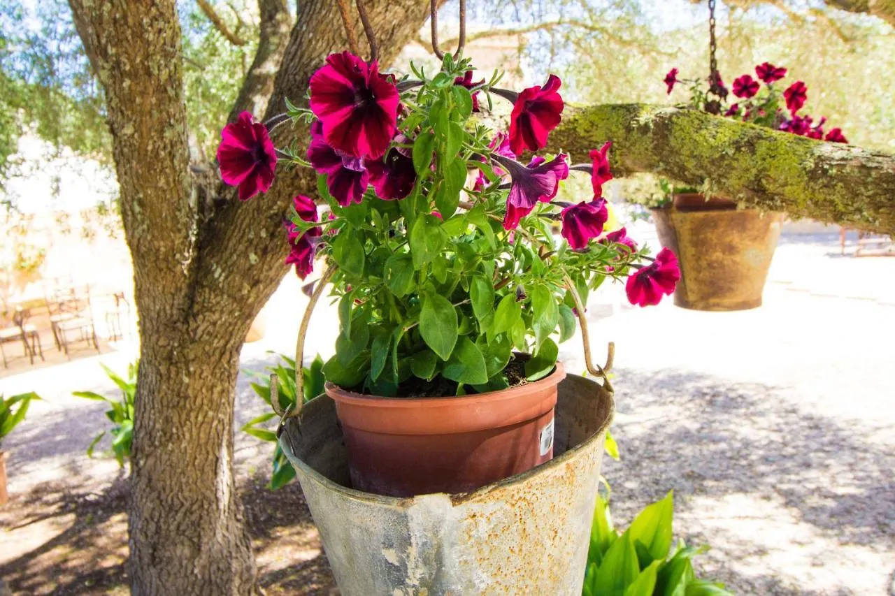 Preciosa Finca Rustica Con A/C Y Piscina Exclusiva Algaida  0*, Algaida (Mallorca) Hiszpania